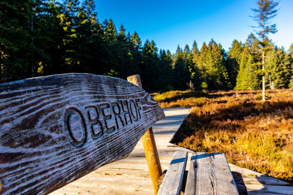 Bank mit dem Wort Oberhof am Wanderweg - Werbeagentur Oberhof Webdesign Oberhof