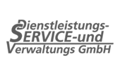 Logo DSV GmbH Suhl